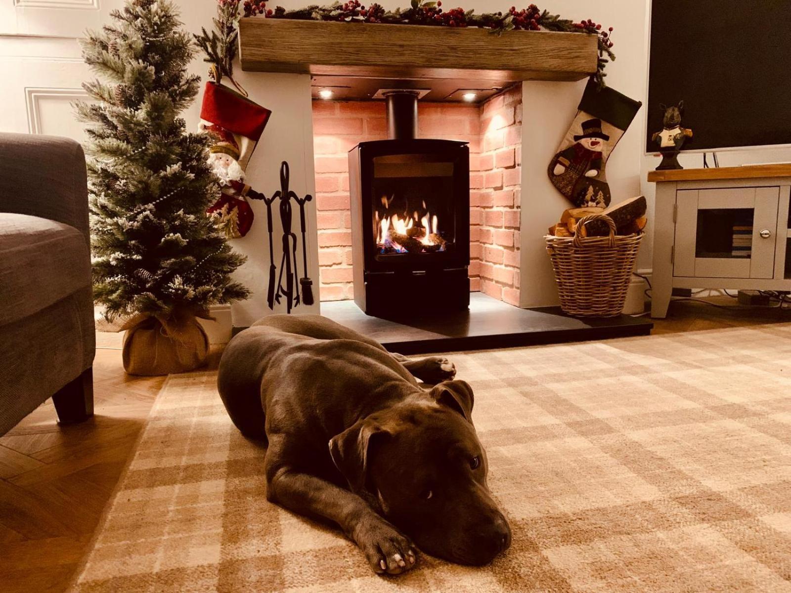 Woodland Cottage - Private Courtyard - Pet Friendly Retreat In The Heart Of Windermere Eksteriør bilde